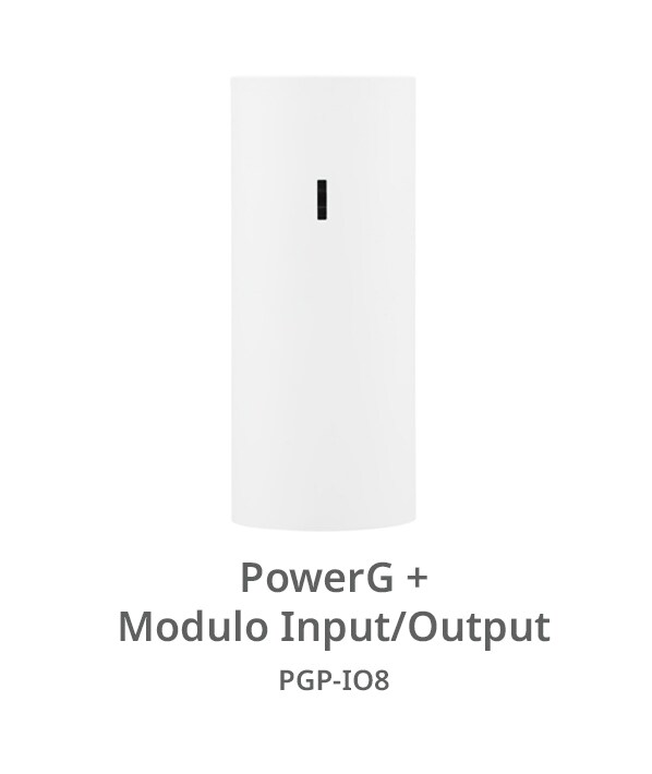 PowerGinputoutputmoduleit